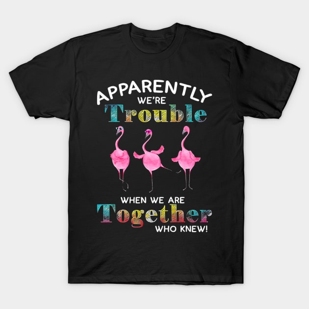 Apparently Were Trouble When We Are Together Who Knew T-Shirt by AxelRoldns